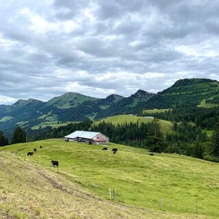 Vom Imberg mit Blick ins Ehrenschwanger Tal und die Nagelfluhkette