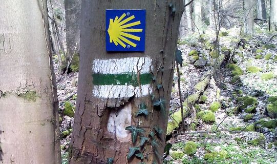 Markierung auf dem Sächsischen Jakobsweg