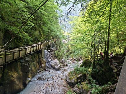 Photo de Nico Offer le long du parcours