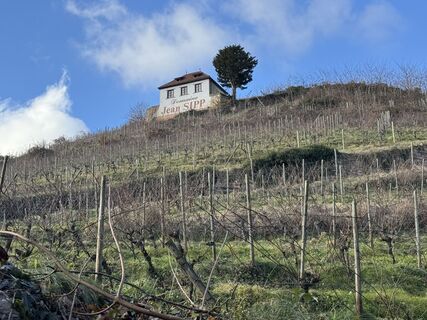 Photo de Elke Stamminger le long du parcours