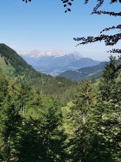 Rosenau am Hengstpaß, Oberösterreich/Österreich