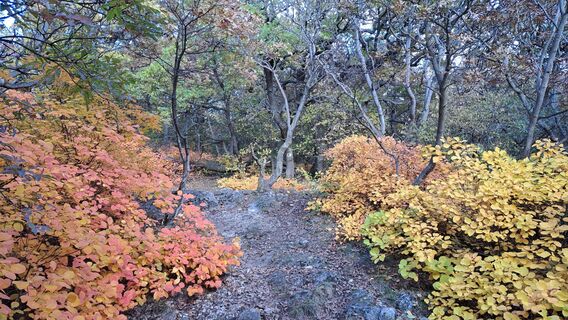 Fotó a Lanyizoltan72 honlapról a túra során