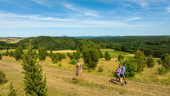 Wanderung auf der Eifelsteig Etappe 07 über den Kalvarienberg bei Alendorf