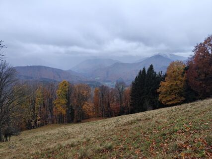 Fotografia z Edith K. na trase