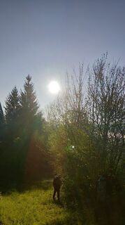 Fotografija s spletne strani Ellsi na poti