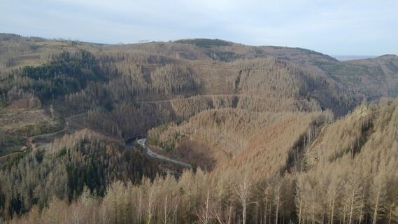Fotó a Christian Bergemann honlapról a túra során
