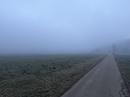 Vom Ausgangspunkt zunächst auf dem Güterweg nach St. Margarethen. Hier herrscht noch der Nebel.