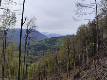 Foto von Margit Leitner 1 entlang der Tour