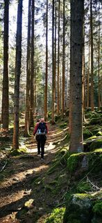 Foto von Klaus Lehner entlang der Tour