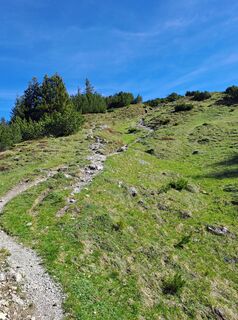 Fotografia z Greg+Lisa na trase