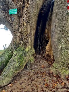 Photo de Leo Fahrngruber le long du parcours