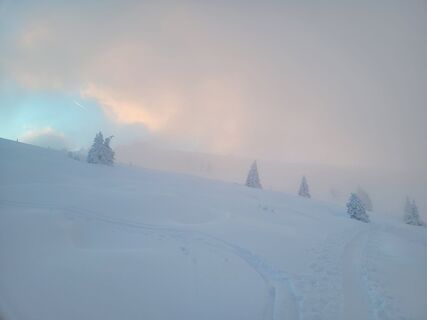 Photo de schenkeli le long du parcours