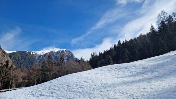 Fotografija s spletne strani MauiGra na poti