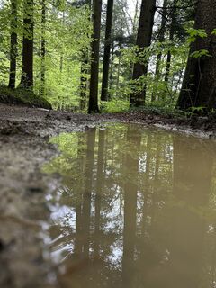 Foto von Dani Geiger / Natur_erleben_dg entlang der Tour
