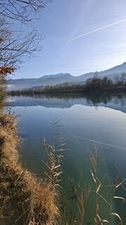 Photo de Mangolein le long du parcours