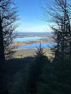 Fotografija s spletne strani Elke Hafner na poti