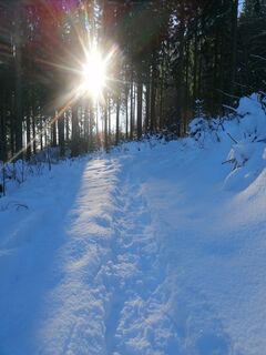 Photo de Ingo le long du parcours