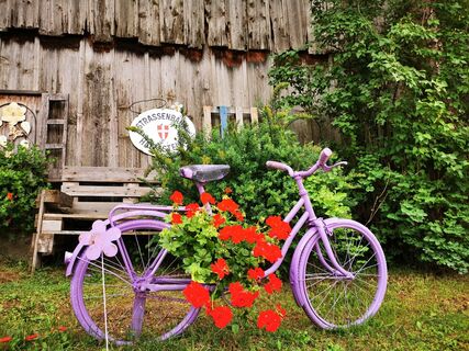 Liebevolle Raddeko am Wegesrand