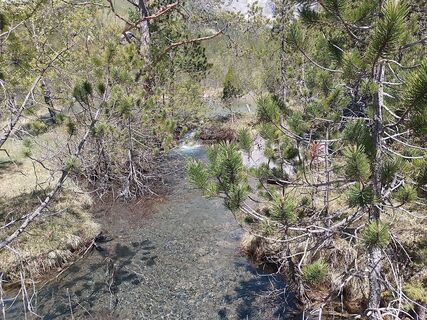Foto von Jean-Pierre Sion entlang der Tour