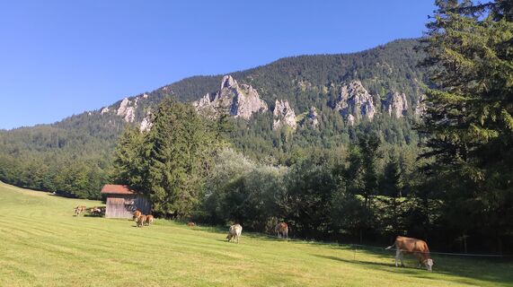 Photo de Adi Lechner le long du parcours