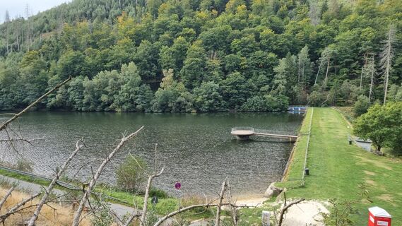 Foto från Merseburg under resans gång