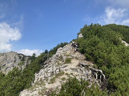 Photo de Wolfi12021950 le long du parcours