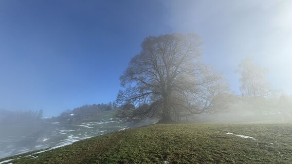 Foto von peter_oe entlang der Tour