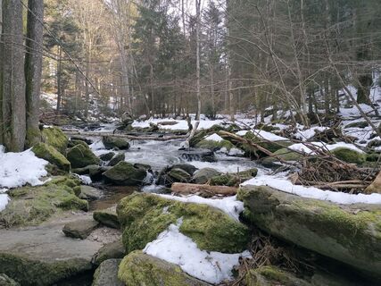 Foto von Wanderfux entlang der Tour