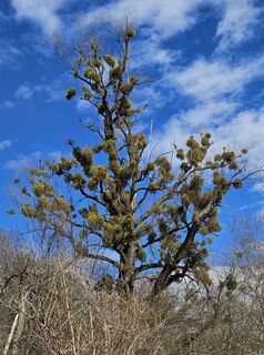 Fotografia z Bernhard steinacher na trase