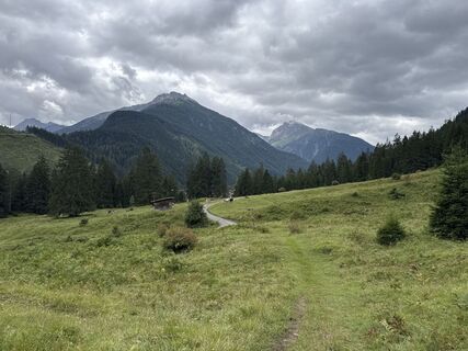 Fotó a Grizzli honlapról a túra során