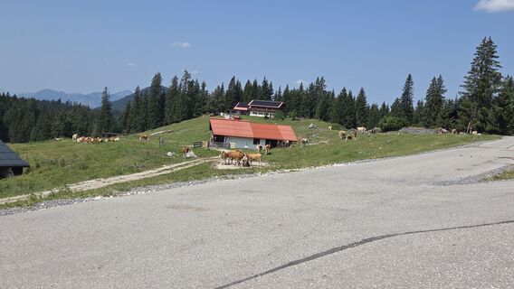 Photo de Gabriele Wagener le long du parcours