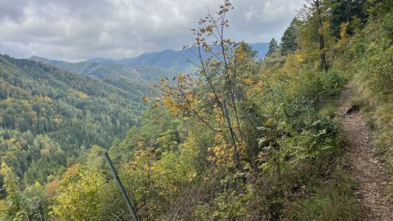 Foto de Sabine Offenberger a lo largo del recorrido