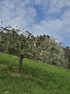 Foto von MRDL entlang der Tour