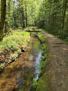Foto de PerryB a lo largo del recorrido