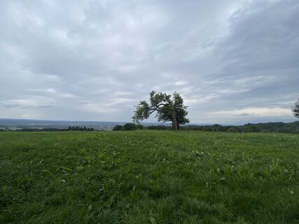 Fotografie z Sven Krieblin na trase