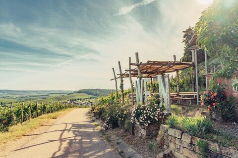 Weinausschank im Zweifelberg | Weinsüden Weinort Brackenheim | HeilbronnerLand