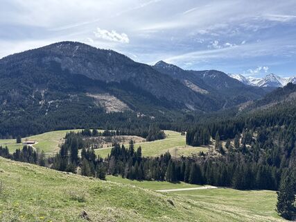 Foto von Similaun entlang der Tour