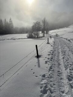 Foto von tiefblauesmeer entlang der Tour