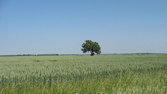 Landschaftliche Vielfalt zwischen Rotenburg und Scheeßel