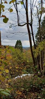 Fotografie de la Erika van den Berg de-a lungul turului