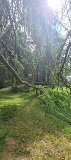 Foto da Laura Gasparotto lungo il tour