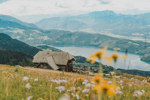 Die AlexanderAlm mit Blick auf den Millstätter See.