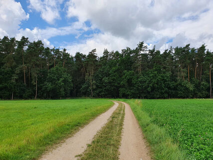 Köferinger Heide
