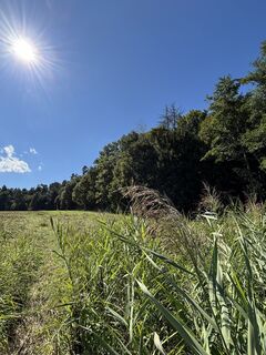 Fotografia z RS76 na trase