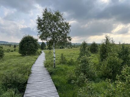 Fotografija s spletne strani Anton Gigele na poti
