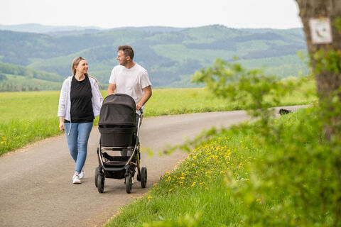Rundweg an der Burgruine Nürburg