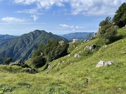 Фото с сайта Natale Maffioletti во время экскурсии