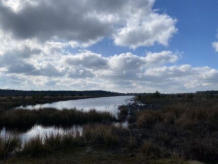 Foto de Roy de Vries a lo largo del recorrido
