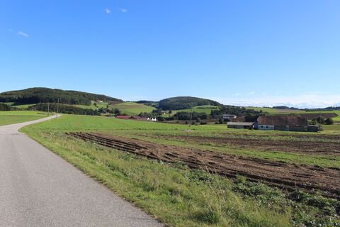 bereits in der KG Eisenbergeramt