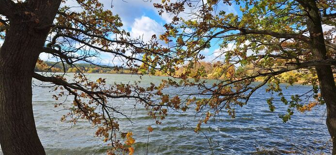 Foto de Jiří Chocholatý a lo largo del recorrido